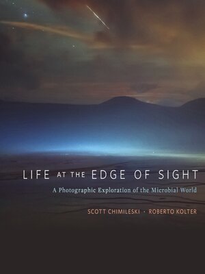 cover image of Life at the Edge of Sight